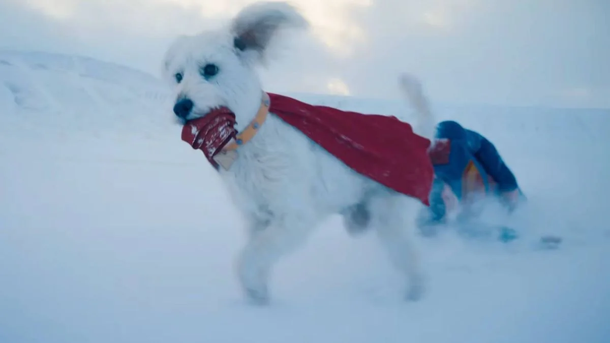 krypto-der-treue-begleiter-von-superman-im-neuen-film_img_1 | etalongame.de Superman